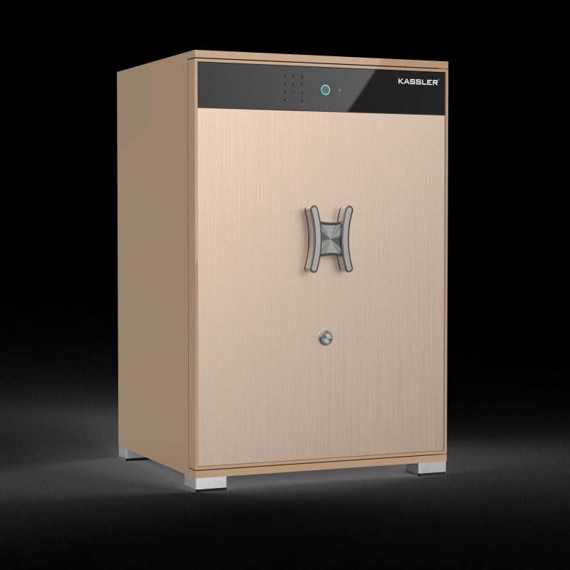 Premium Biometric Safe 1