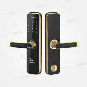 Khóa vân tay Kassler Kl-668 Gold App Wifi - 668 gold 3 - 11