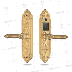 Khóa cửa gỗ tân cổ điển Kassler KL-919 Pro gold App TTLOCK 11 Khóa cửa gỗ tân cổ điển Kassler KL-919 Pro gold App TTLOCK - 919 PRO G 1 - 11