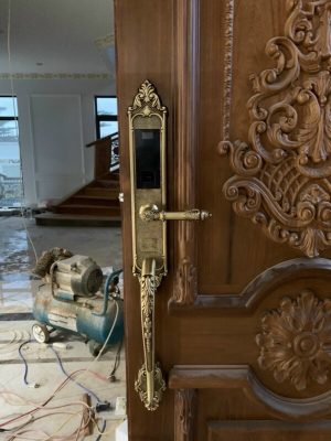 Khóa vân tay tân cổ Kassler KL-969C (vàng đồng) - chống ẩm, chống bụi - IMG 1712 - 8