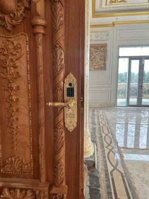 Khóa cửa gỗ tân cổ điển Kassler KL-919 Pro gold App TTLOCK - IMG 20240802 140332 - 8