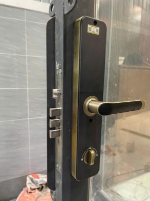 Khóa cửa vân tay Kassler KL-696 Green bronze App TTlock, Remote - chống nước - IMG 20240828 153435 1 - 7