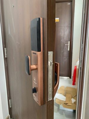 Khóa vân tay Kassler KL- 828 F Face ID 3D, App Tuya - IMG 20240828 154719 - 8