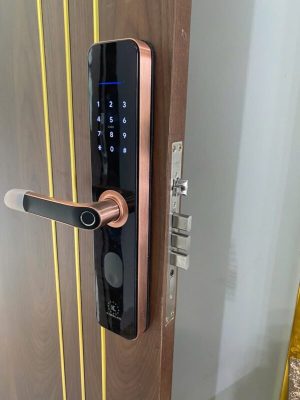 Khóa cửa thông minh Kassler KL-696 Red Bronze App TTlock - chống nước - IMG 20240828 154920 - 7