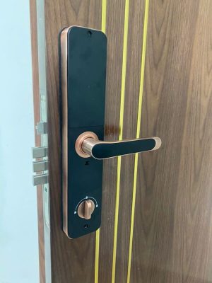 Khóa cửa thông minh Kassler KL-696 Red Bronze App TTlock - chống nước - IMG 20240828 154928 - 9