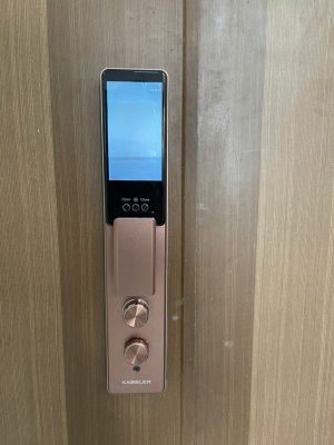 Khóa Vân Tay Kassler KL-899 CNC Coffee Face ID, App Xhome - IMG 20241023 082901 - 7