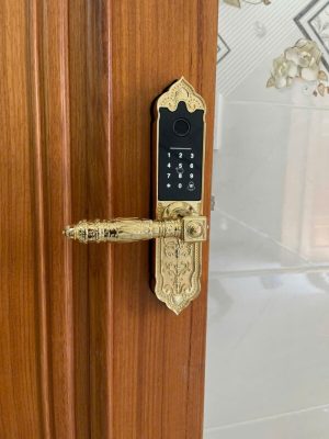 Khóa đại sảnh Kassler KL-919 App TTLOCK - IMG 20241023 083210 - 7