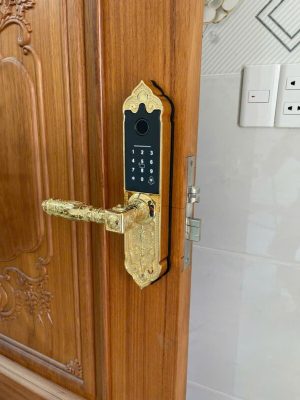 Khóa đại sảnh Kassler KL-919 App TTLOCK - IMG 20241023 083212 - 9