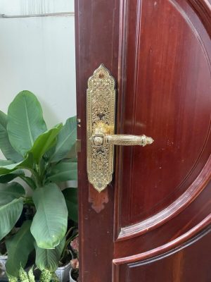 Khóa cửa gỗ tân cổ điển Kassler KL-919 Pro gold App TTLOCK - IMG 20241023 083235 - 9