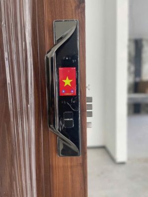Khóa cửa điện tử Kassler KL-82T Silver Face Id App Usmart Go - IMG 20241023 083724 - 9