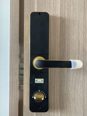Khóa cửa vân tay Kassler KL-696 Gold App TTlock, Remote - chống nước 7 Khóa cửa vân tay Kassler KL-696 Gold App TTlock, Remote - chống nước - IMG 20241104 093351 - 7