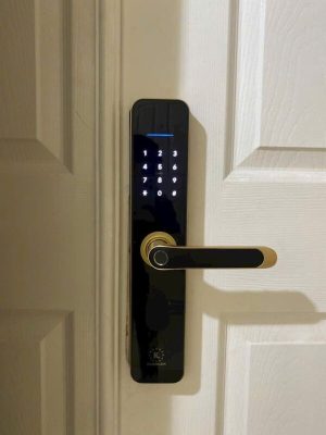 Khóa cửa vân tay Kassler KL-696 Gold App TTlock, Remote - chống nước 9 Khóa cửa vân tay Kassler KL-696 Gold App TTlock, Remote - chống nước - IMG 20241104 093433 - 9