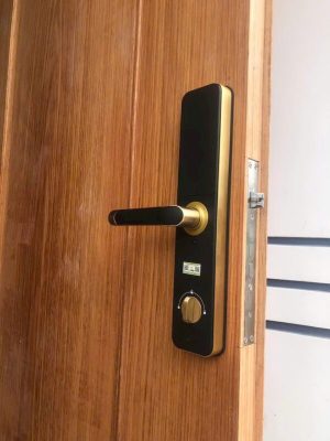 Khóa cửa vân tay Kassler KL-696 Gold App TTlock - chống nước 8 Khóa cửa vân tay Kassler KL-696 Gold App TTlock - chống nước - IMG 20241104 093453 - 8