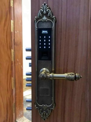 Khóa đại sảnh Kassler KL-959 GR (vàng đen) - Chống ẩm, chống bụi - IMG 3812 - 9