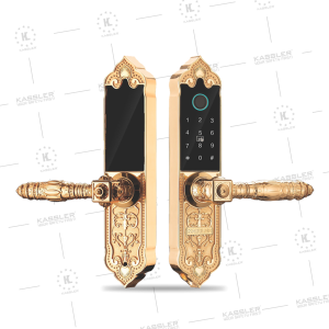 Khóa đại sảnh Kassler KL-919 App TTLOCK - KL 919DAI DIEN 1 - 11