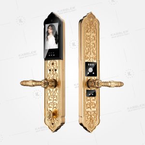 Khóa đại sảnh Kassler KL-989 FS App TUYA 11 Khóa đại sảnh Kassler KL-989 FS App TUYA - KL 989 FS - 11