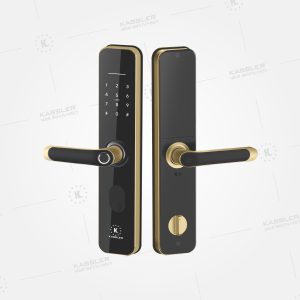 Khóa cửa vân tay Kassler KL-696 Gold App TTlock, Remote - chống nước 11 Khóa cửa vân tay Kassler KL-696 Gold App TTlock, Remote - chống nước - kl 668 gold 1 - 11