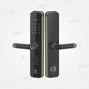 Khóa cửa vân tay Kassler KL-696 Green bronze App TTlock - chống nước - kl 696 green bronze 1 - 11