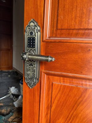 Khóa cửa gỗ tân cổ điển Kassler KL-919 Pro Green App TTLOCK - z6509395440491 d2a0af72c2bb92743e6362ea63b0f175 - 8
