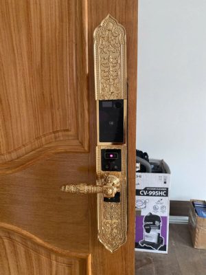 Khóa đại sảnh Kassler KL-929 F Pro App Tuya - z6509415014023 0cb531b4adc8d00f8bff03adafea8612 - 9