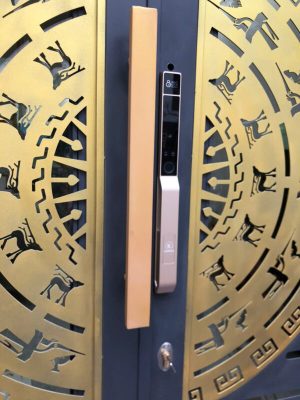 Khoá cửa nhôm thông minh Kassler KL-599 PRO Champagne Gold App 7 Khoá cửa nhôm thông minh Kassler KL-599 PRO Champagne Gold App - z6509432685767 8a898205055e189cd52f04b40a0b78bd - 7