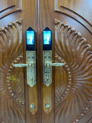 Khóa đại sảnh Kassler KL-939 F Pro App Tuya - mạ vàng 24k - z6509441492942 2e69b7e15c292c9d9e610ccabe60c709 - 8