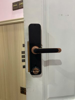 Khóa vân tay Kassler Kl-668 Bronze App Wifi - z6509447648097 0d98dd8ddd45806f47d7c8e2b7128c7c - 8