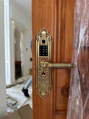 Khóa cửa điện tử tân cổ điển Kassler KL-919 Pro Copper App TTLOCK - z6509906092359 520d68a4d93f5b6f4839ed0c8543c59f - 7