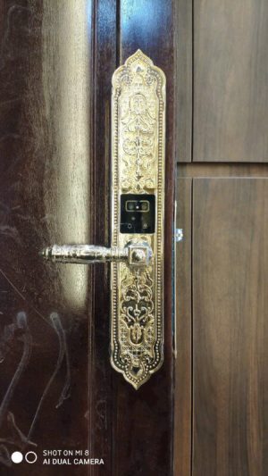 Khóa đại sảnh Kassler KL-929 F Face ID, App Wifi mạ vàng 24k - z6513088174277 820534febf6aaf7c43cc5771dfd4ed46 - 8