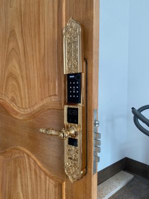 Khóa đại sảnh Kassler KL-989 FS App TUYA - z6700134765246 4ca3d718468c5bea80293af2e96d6dfc - 7