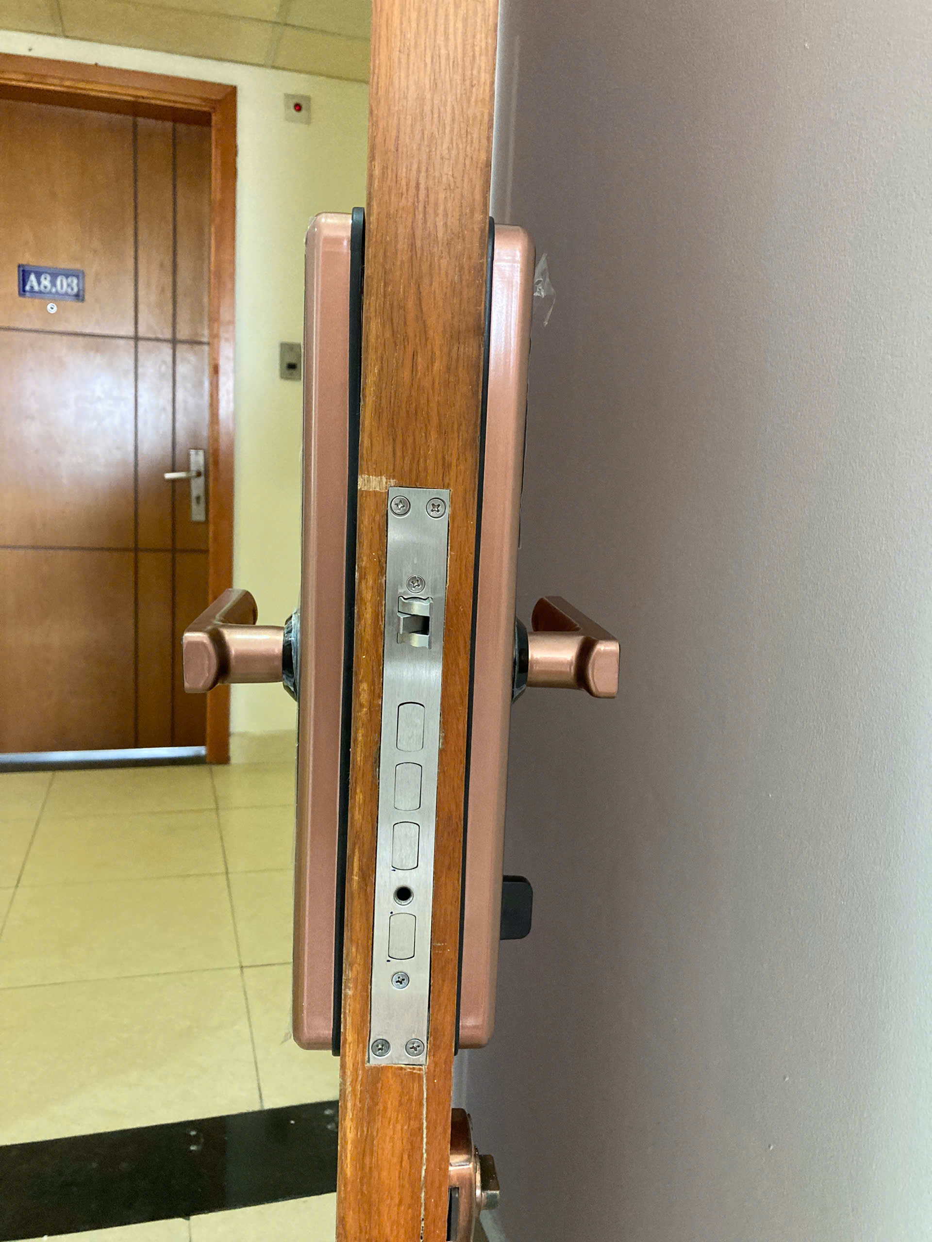 Khóa vân tay Kassler Kl-566 Copper App Bluetooth 6 Khóa vân tay Kassler Kl-566 Copper App Bluetooth - z6763689711709 c154935c43f3f3ab6bb485406f7be01f - 6