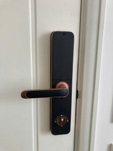 Khóa cửa thông minh Kassler KL-696 Red Bronze App TTlock, Remote - chống nước - z6848623132867 8dd34527224b5ea5530e5f5ebe8a7ee9 - 12