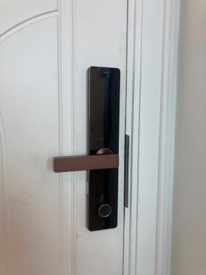 Khóa cửa vân tay Kassler KL-608 CNC Copper App Tuya - z6906240264837 f646eb256cbd6cebfd66844bc08dc517 - 8