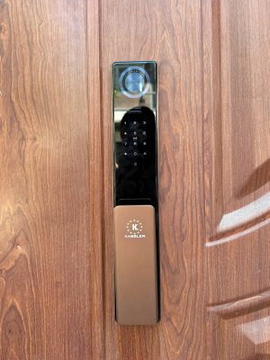 Khóa cửa vân tay Kassler KL-809 CNC Copper App Tuya - z7086057557011 546c50ee39418d12e38d53fa88461316 - 9