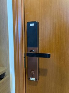 Khóa cửa vân tay Kassler KL-669 Copper App Wifi - z7093242775343 0de6d1e76653b5146dd989c9ee6a055c - 13