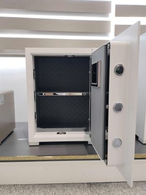 Két sắt thông minh Kassler KL-55H8 - Màu trắng ngọc trai - z7174330806646 123b7ceb247bd08cdd1b28284296be43 - 13