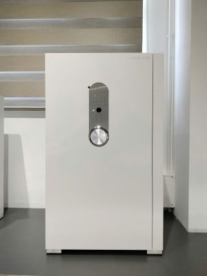 Két sắt thông minh Kassler KL-75H8 - Màu trắng ngọc trai - z7174330971051 c9bfa47e0686b1f6b600c4d59a4adf61 - 9