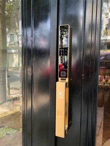 Khoá vân tay cửa nhôm Kassler KL-599 CNC 02 Champagne Gold App Tuya, Face ID - z7202264230312 6855533886ff8faa7ecd83391bad648f - 12