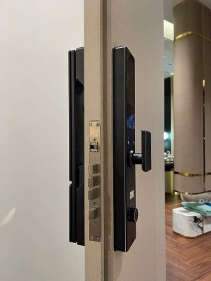 Khóa cửa thông minh Kassler KL-899 Plus BL - App Tuya - z7231915083969 90255d0b1b1a919455e5879393518de0 - 9