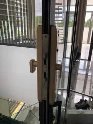 Khóa cửa nhôm Kassler KL-599 TN Champagne Gold App TTlock, Remote - z7240370362324 5eaf296235f379e8c73c029972205024 - 7