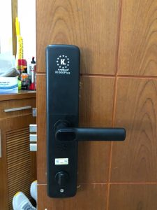 Khoá cửa điện tử Kassler KL 600 PG Titan - z7419280713516 c9ae4f14036ad272115813d3b8781d68 - 12