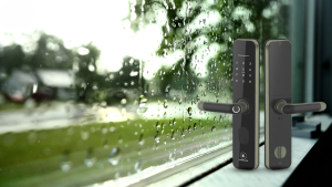 Khóa cửa vân tay dưới góc nhìn gia đình Việt – Phân tích theo nhu cầu thực tế