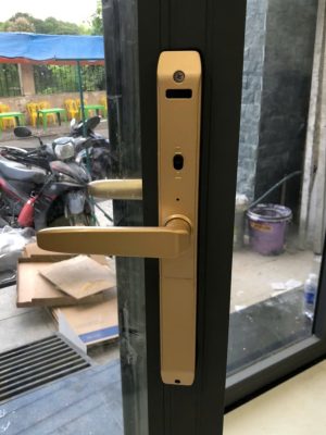 Khóa cửa nhôm Kassler KL-599TD AA Champagne Gold App TTlock, remote - z7087752084017 8fb6e7f4f94136a2730762a5e8ceb8bf - 10